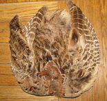 ����� ����� ����������� ������ ringneck pheasant hen skin Wapsi